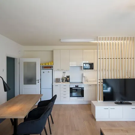 Craftsapartment -Free Parking, King Size Beds, Netflix And Nintendo * Prag